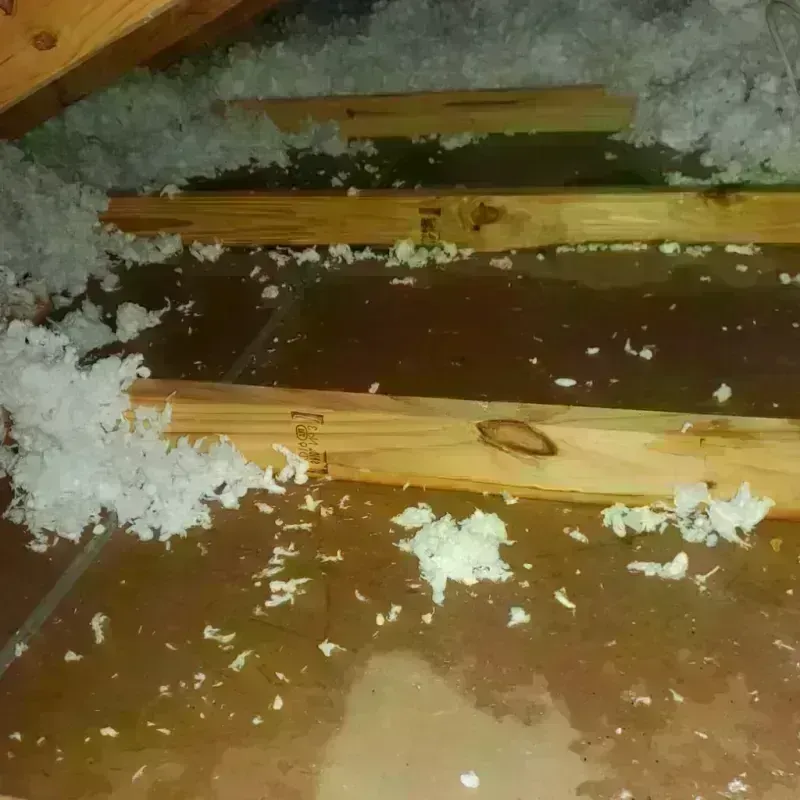 Attic Water Damage in Moore, OK