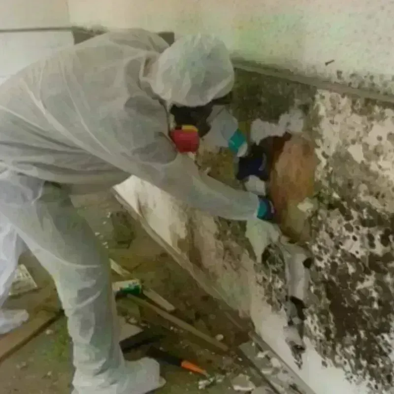 Mold Remediation and Removal in Moore, OK