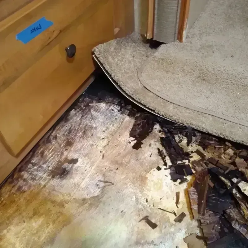 Best Wood Floor Water Damage Service in Moore, OK